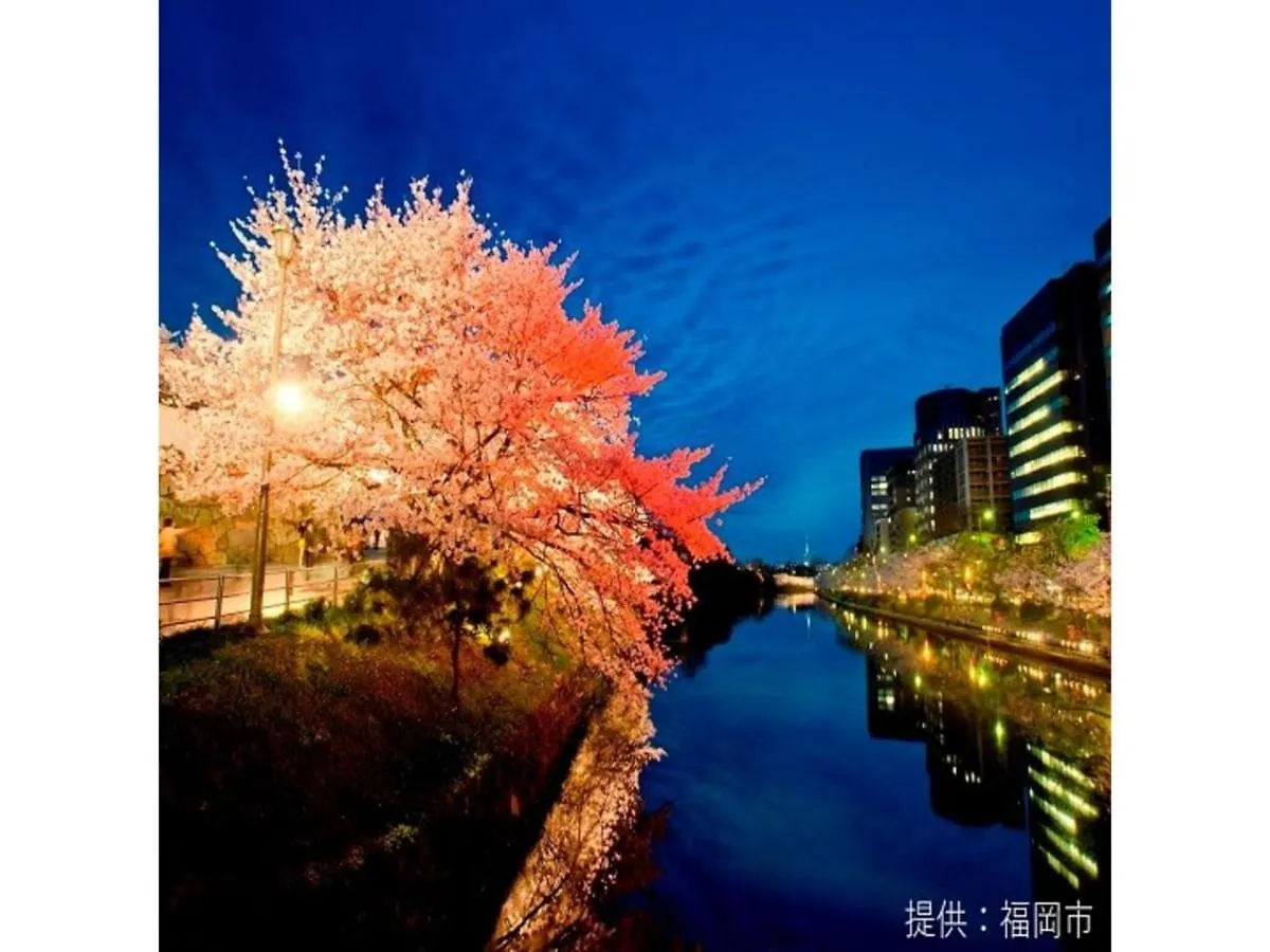 Court Hotel Fukuoka Tenjin - Vacation Stay 42333V 0*, Fukuoka (Fukuoka)